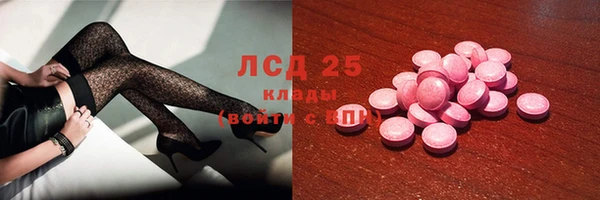 стаф Беломорск