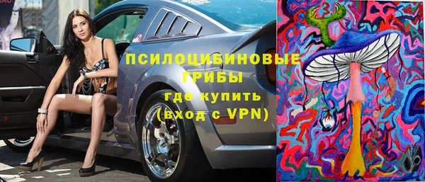 spice Белокуриха