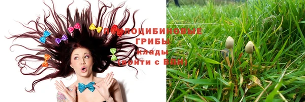 стаф Беломорск