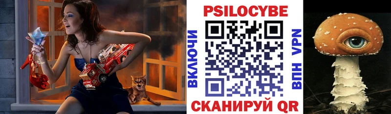 blacksprut ссылка  Болохово  Псилоцибиновые грибы Psilocybine cubensis  купить наркоту 